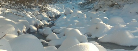 facebookcover_winter16