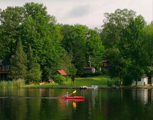 P_20170701_084809_vHDR_Auto_1_1